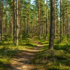 Конный прокат, Загородный отель Berloga Country Resort