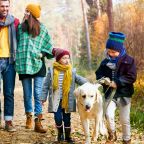 Конный прокат, Загородный отель Berloga Country Resort