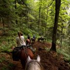 Конный прокат, Загородный отель Berloga Country Resort