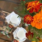 Студио (Двухместный улучшенный номер), Гостевой дом Митяевский