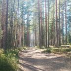 База отдыха расположена на Карельском перешейке