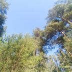 Природная сила Карельского перешейка