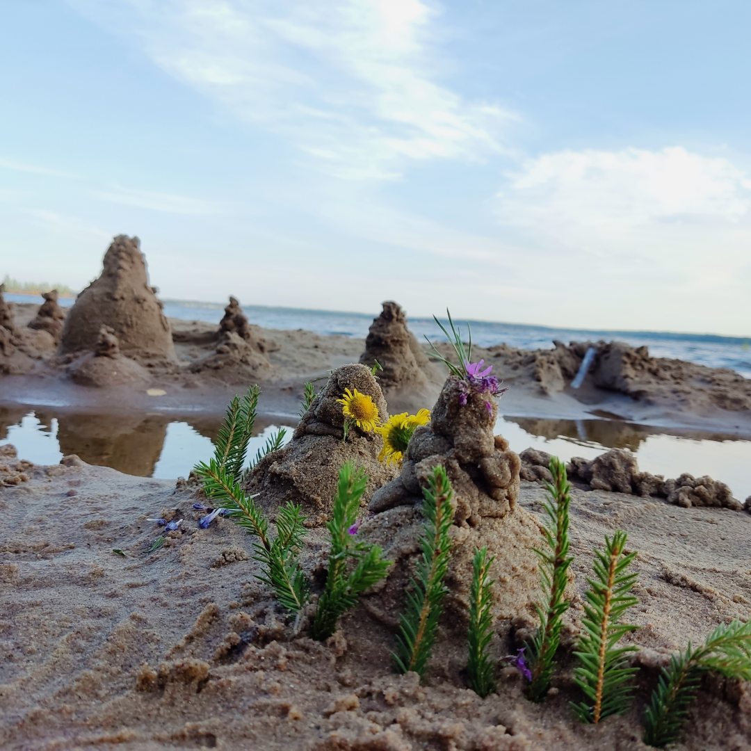 Песчаный пляж, Гостевой дом Сосновый бор - коттеджи на Селигере