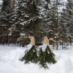 Дом (Грибной домик коттедж на берегу озера Волго), Гостевой дом Сосновый бор - коттеджи на Селигере