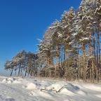 Коттедж (Домик на опушке), Гостевой дом Сосновый бор - коттеджи на Селигере