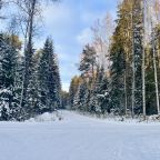 Коттедж (Лесной домик в сосновом бору), Гостевой дом Сосновый бор - коттеджи на Селигере