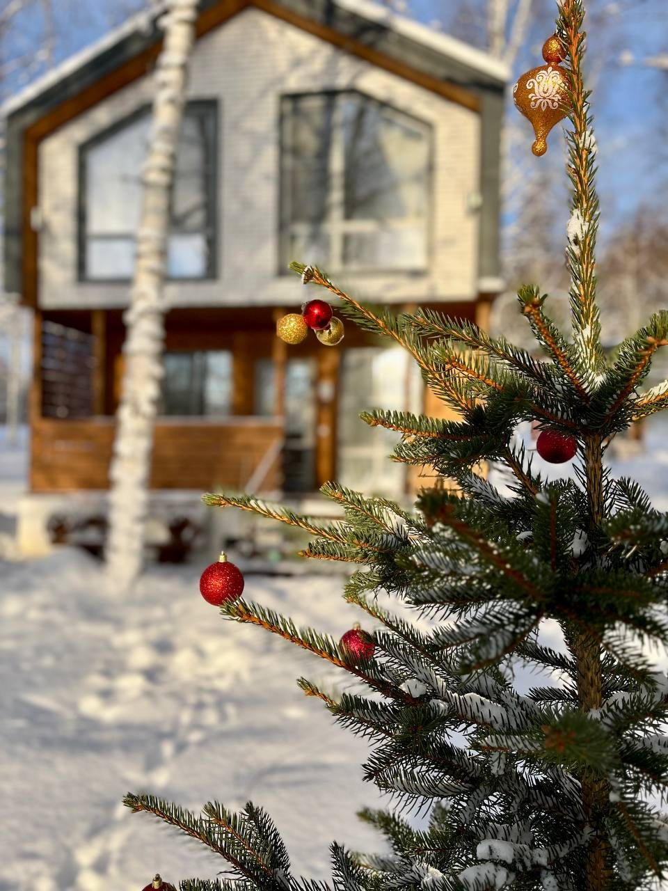 Новогодняя программа, Семейный отель Медведица Шанти