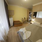 Семейный (Двухместный с доп. местом (Раскладной диван)), Пансионат Бешпагир