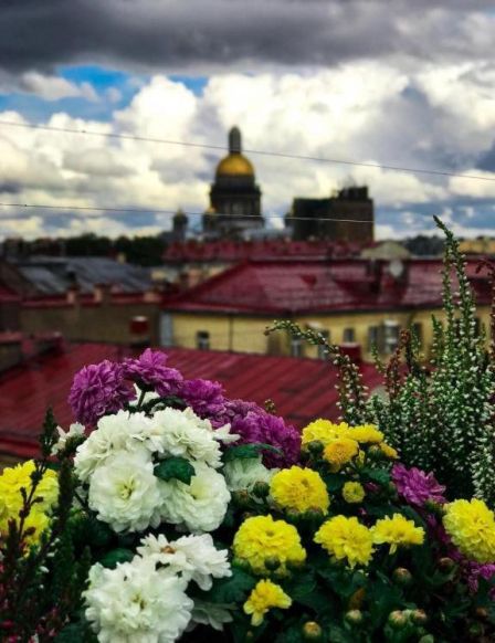 Гостевой дом Бон-Аппарт, Санкт-Петербург