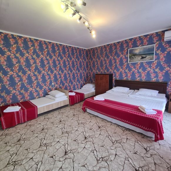 Фотография номера гостевого дома Алёнка 