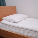 Двухместный (Эконом), Отель Alma Domodedovo