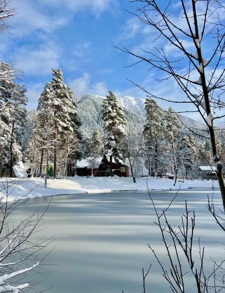 Фотография номера Коттеджа База отдыха Таулу Архыз