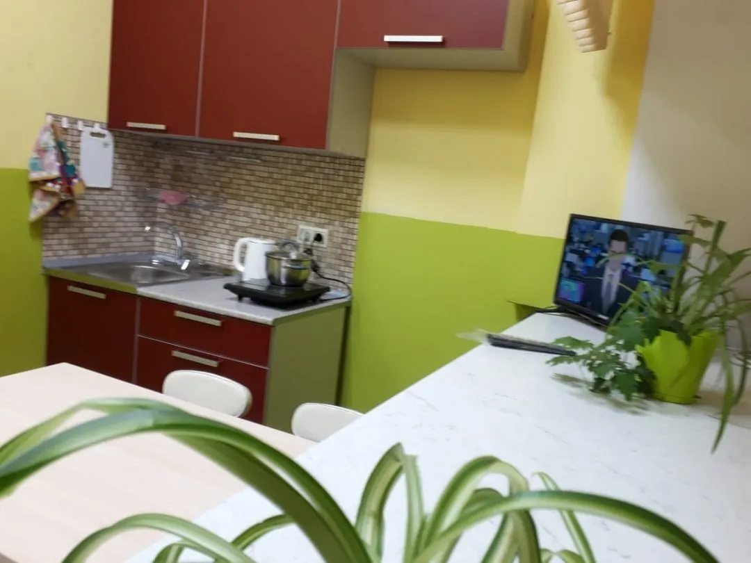 телевизор, кухня с индукционной плиткой и чайником