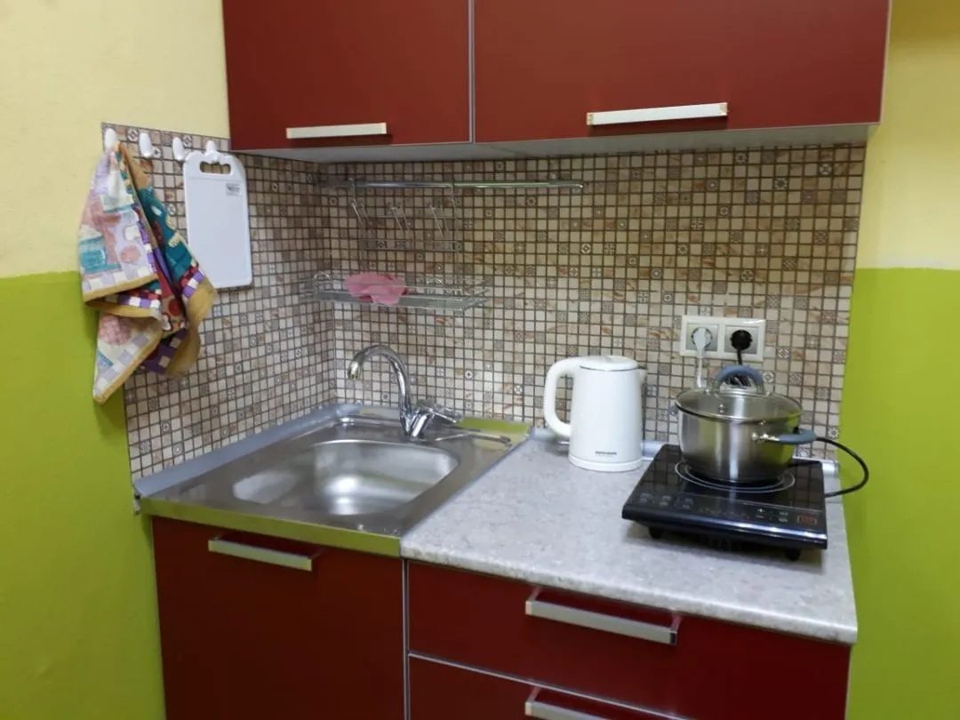 кухня с раковиной, электрочайником и индукционной плиткой