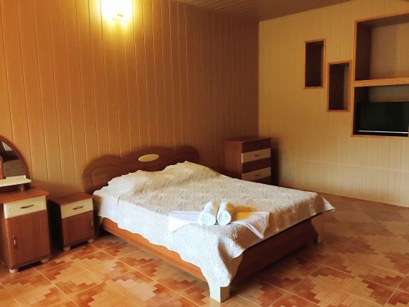 Фотография номера гостиницы Надежда