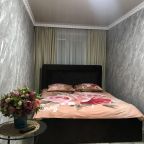 Апартаменты (ВОЛЖАНКА , пр.Ленина 17, 5 этаж, балкон), Апартаменты Центр
