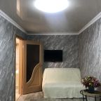 Апартаменты (ВОЛЖАНКА , пр.Ленина 17, 5 этаж, балкон), Апартаменты Центр