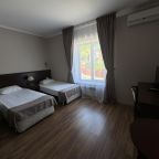 Двухместный (стандартный номер с одной двуспальной или двумя раздельными кроватями. Без балкона), Гостиница Европа на Вишнёвой
