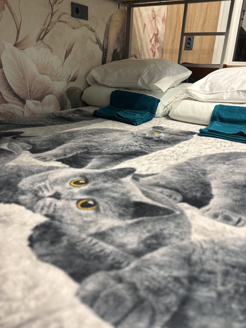 Трёхместный и более (Семейный Очаг Стандарт), Хостел Бригит на Ладожской