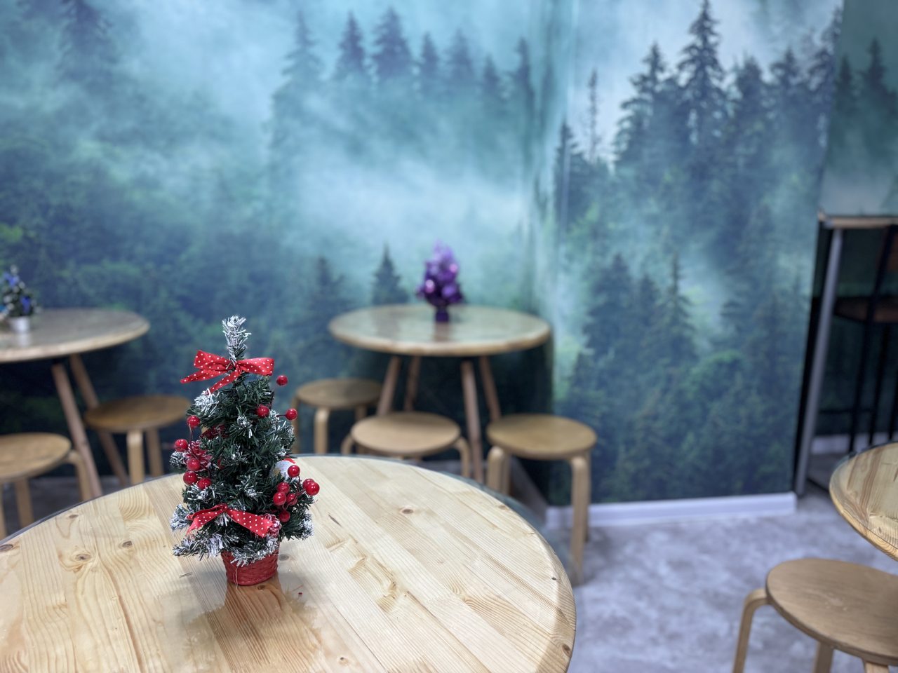 Четырехместный Мужской (Четырёхместный мужской номер Зенит), Хостел Бригит на Ладожской