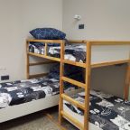 Трёхместный и более (Ромашки 3-х  местный номер), Хостел Бригит на Ладожской