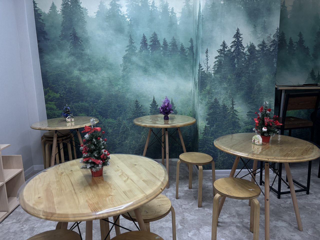 Трёхместный и более (Британки Трёхместный Стандарт), Хостел Бригит на Ладожской