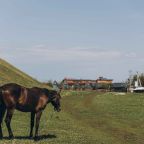 Верховая езда, Загородный комплекс Farm & Village