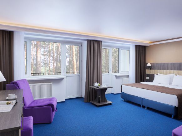 Фотография номера гостиницы Парк-отель ЗВЕНИГОРОД