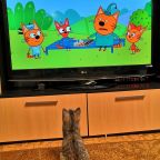 Морская дача Арабеска