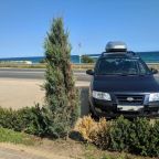 Морская дача Арабеска