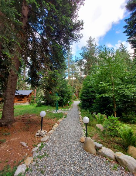 База отдыха Arkhyz-Nur-SKI