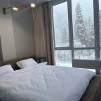 Апартаменты (Апартаменты Домбай ТАУКЕЛЬ), Гостевой дом Гринч