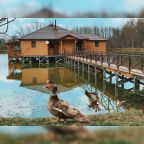 Четырехместный (Четырехместный в Доме на воде (Однокомнатный)), База отдыха Озеро Желаний