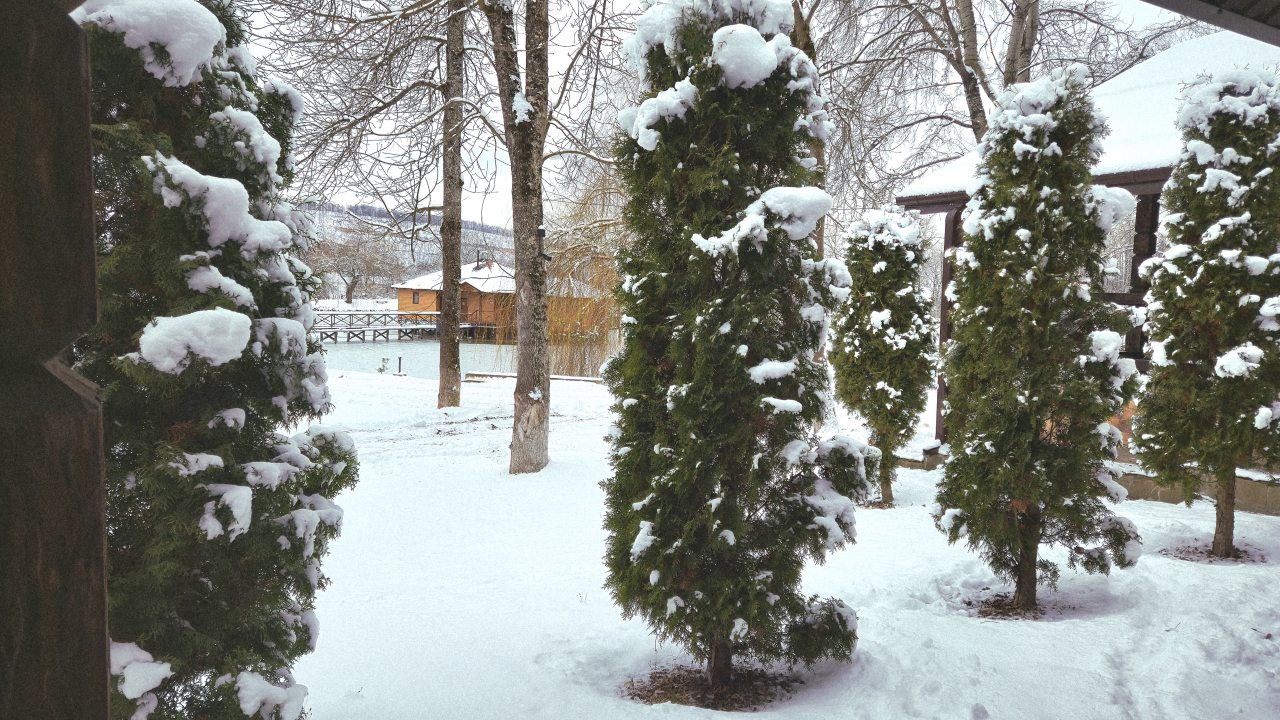 Трехместный (Шале на берегу), База отдыха Озеро Желаний