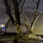 Территория