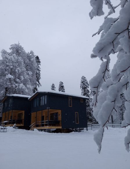 Фотография номера апарт отеля ЗимаЛето