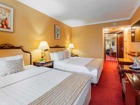 Фотография номера гостиницы Клементин