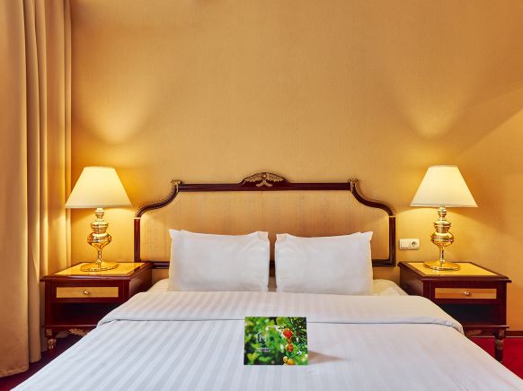 Фотография номера гостиницы Клементин