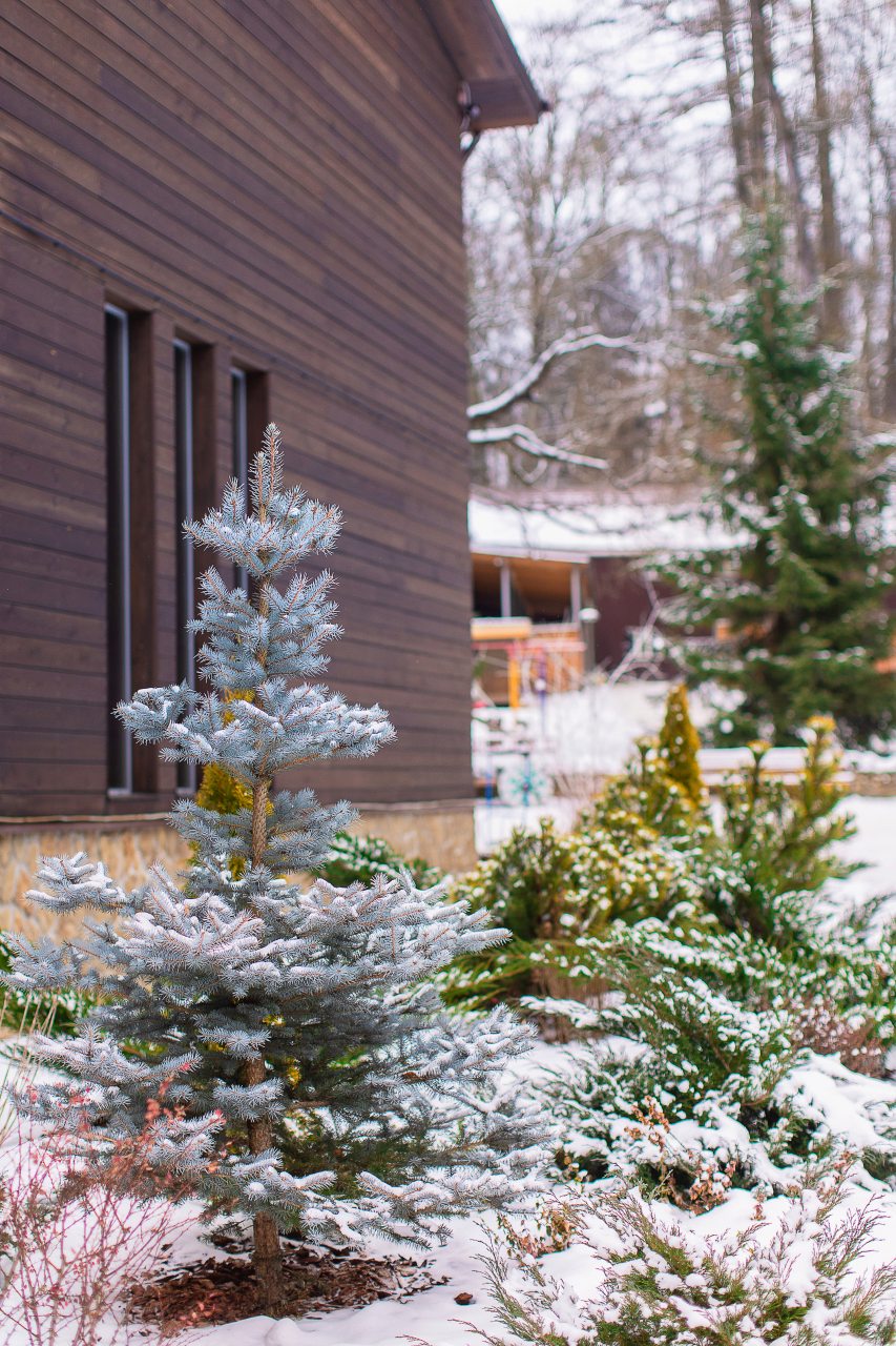 Шестиместный (Гостевой дом), Загородный отель Just Wood