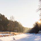 Шестиместный (Гостевой дом), Загородный отель Just Wood
