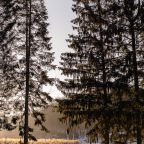 Дом (Сруб), Загородный отель Just Wood