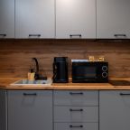 Двухместный (Комфорт 2-х местный с мини -кухней.), Эко-отель Bergamo