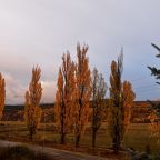 Вид из окна с номера с раздельными кроватями