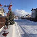 Автостоянка / Парковка, Гостевой дом Загородное