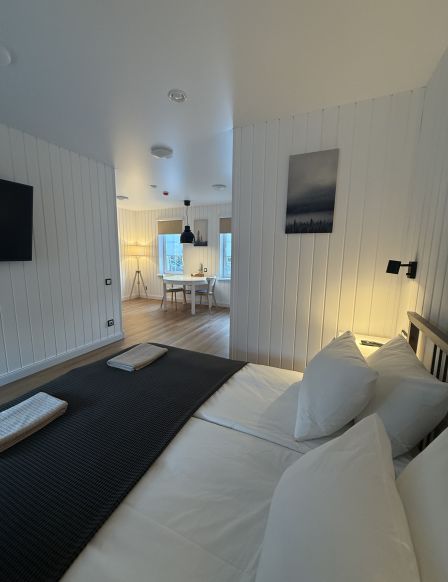 Фотография номера гостиницы Скандинавия