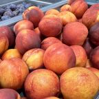 Ресторан («шведский стол»), Курортный комплекс Азовский