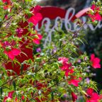 Своя ухоженная территория, Курортный комплекс Азовский