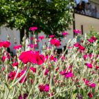 Своя ухоженная территория, Курортный комплекс Азовский