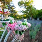 Вид на сад, Курортный комплекс Азовский