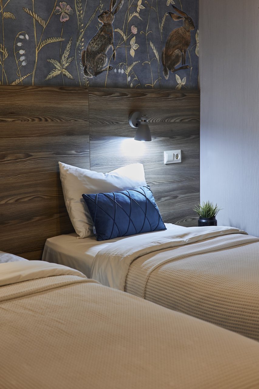 Двухместный (Стандартный номер  с двуспальной или 2 односпальными кроватями), Отельбург на Рубинштейна